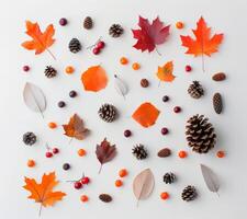 Autumnal Fruit and Pinecone Border photo