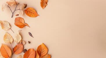 Autumn Branch With Orange Leaves photo