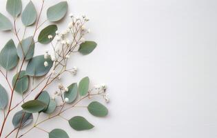 Eucalyptus and Baby's Breath Arrangement photo