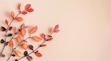 Autumn Branch With Orange Leaves photo