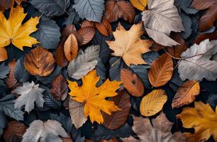 Autumn Leaves Arrangement photo