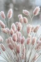 Pink Bunny Tail Grass in a Vase photo