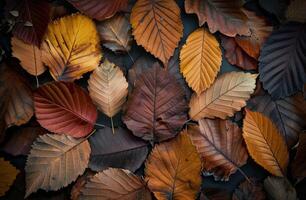 Autumn Leaves Arrangement photo