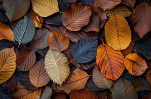Autumn Leaves Arrangement photo