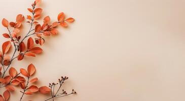 Autumn Branch With Orange Leaves photo