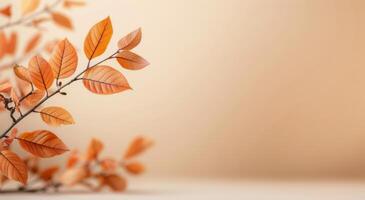 Autumn Branch With Orange Leaves photo