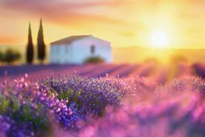 Farmhouse in Lavender Field at Sunset photo