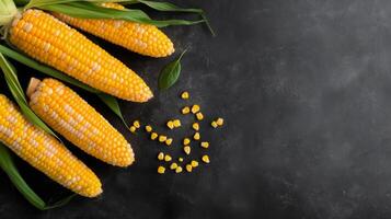 Three Ears Of Corn On A Black Background photo