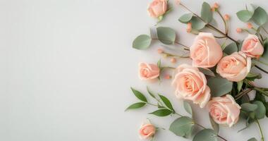 Pink Roses and Greenery on White Background photo