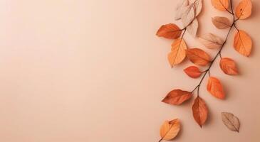 Autumn Leaves on Beige Background photo