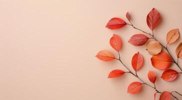 Autumn Leaves on Beige Background photo