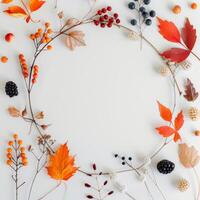 Autumn Leaves and Berries Frame photo