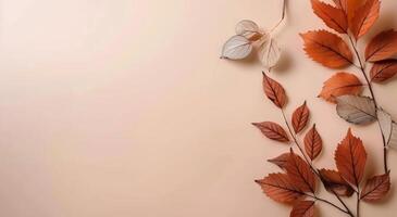 Autumn Leaves on Beige Background photo
