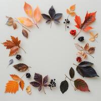 Autumn Leaves and Berries Frame photo