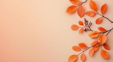 Autumn Leaves on Beige Background photo