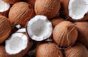 Close-Up of Coconuts on Palm Leaves photo