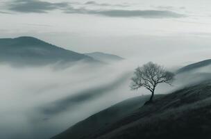 Misty Mountain Range photo