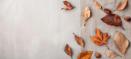 Dried Leaves and Berries on White Background photo