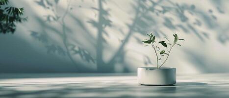 White Pots With Plants on a Shelf photo