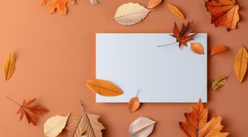 Autumn Leaves Surrounding a Blank Card photo
