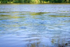 Seagull flying on the dirty water with plastic bottle rubbish float on the water photo
