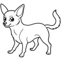 Chihuahua dog walks icon vector