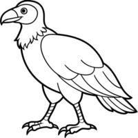 Chickadee bird runs icon vector