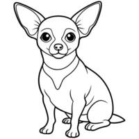 Chihuahua dog sits icon vector