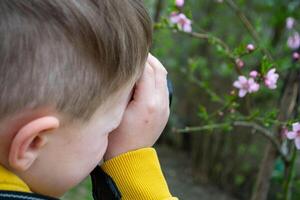 A boy looks through a binoculars at a flower garden. photo