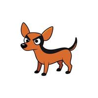 Chiweenie dog angry icon vector