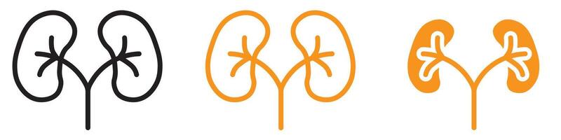 Detailed Human Kidneys Icon for Medical and Health Graphics Essential for Representing Kidney Function and Medical Illustrations vector
