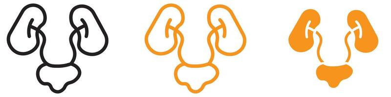 Anatomical Urinary System Icon for Health and Medical Graphics Ideal for Representing the Urinary System and Medical Diagrams vector