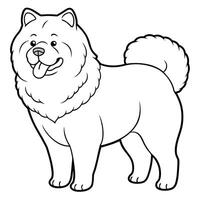 Chow Pom dog stands icon vector