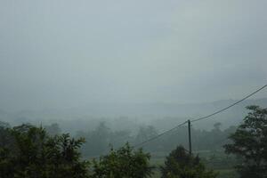 A Foggy Scene With A Forest In The Background photo