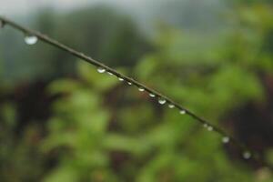 a close up of raindrops on a blade of grass photo