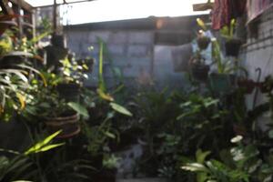 a planter with a red curtain is in front of a wall with a sign that says potted plants photo