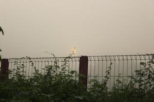 a fence with a fence and a bird on it photo