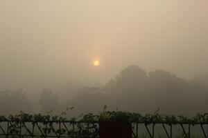 the sun is rising through the fog photo