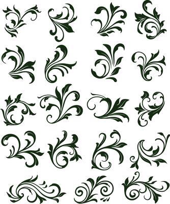 Set Floral Ornament Element