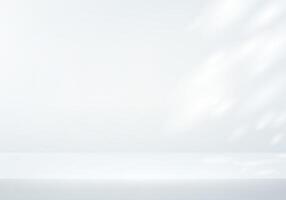 White and grey background Studio with light. White Background Empty Room Studio with table. Space for selling products on the website. Empty room with shadow leaves. vector