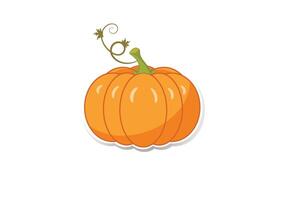 Pumpkin for Halloween, autumn fruit, Ripe ginger pumpkin isolated on a white background vector