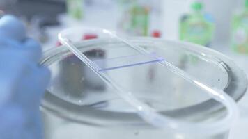 In a laboratory, water is applied to a glass slide for viewing under microscope video