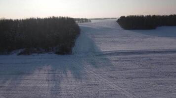 Aerial view of snow-covered agricultural field in winter, small areas of forest video