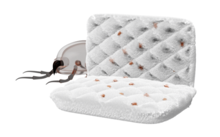 3d dust mites in sofa isolated. 3d illustration render png