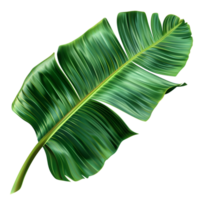 Generated Ai A feather with a green feather on a checkered png