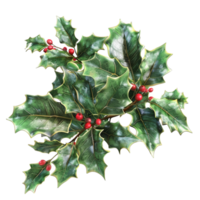 Generated Ai Rendering of a Christmas plant holly leaves with berries png