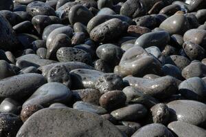 Close-up of black volcanic stones on a Funchal, Madeira beach, showcasing their unique texture and color in the coastal environment. photo