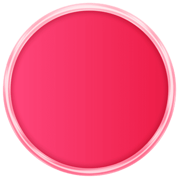 rosa knapp. tömma webb knapp. modern trendig knapp png