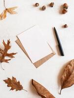 Frame from various fall leafs and acorns, envelope and postcard on white background photo