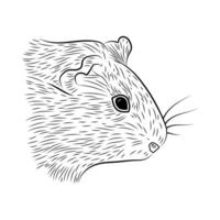 Black Outline of a Guinea Pig Head, Hand Drawn, Graphic Style vector